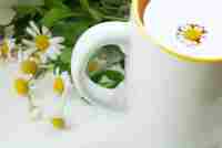 Chamomile